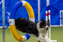 2023-June-AADTC-Trial-325