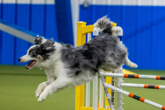 2023-June-AADTC-Trial-332