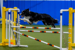 2023-June-AADTC-Trial-335