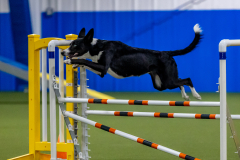 2023-June-AADTC-Trial-338