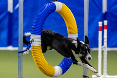 2023-June-AADTC-Trial-339