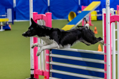 2023-June-AADTC-Trial-344