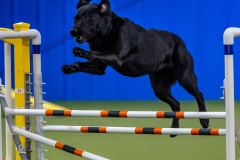 2023-June-AADTC-Trial-345