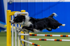 2023-June-AADTC-Trial-350