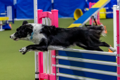 2023-June-AADTC-Trial-351