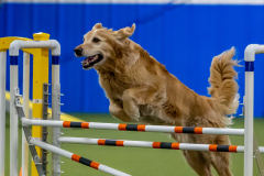 2023-June-AADTC-Trial-352