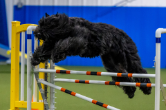 2023-June-AADTC-Trial-355