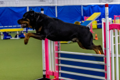 2023-June-AADTC-Trial-360