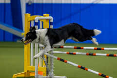 2023-June-AADTC-Trial-366