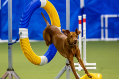 2023-June-AADTC-Trial-368