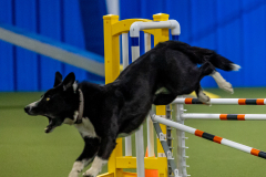 2023-June-AADTC-Trial-369