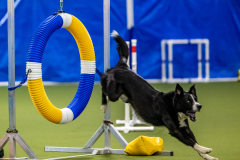 2023-June-AADTC-Trial-370