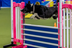 2023-June-AADTC-Trial-371