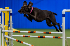 2023-June-AADTC-Trial-372