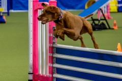 2023-June-AADTC-Trial-374