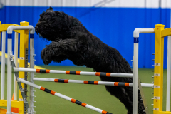 2023-June-AADTC-Trial-375