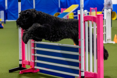 2023-June-AADTC-Trial-376