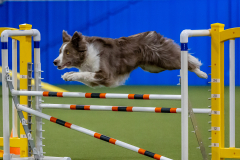 2023-June-AADTC-Trial-377