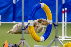 2023-June-AADTC-Trial-379