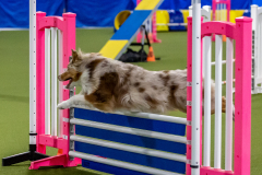 2023-June-AADTC-Trial-380