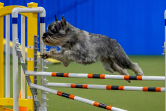 2023-June-AADTC-Trial-381