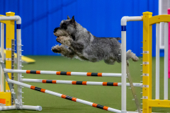 2023-June-AADTC-Trial-384