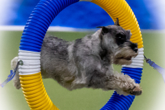 2023-June-AADTC-Trial-385