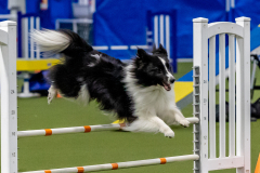 2023-June-AADTC-Trial-388