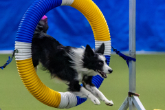 2023-June-AADTC-Trial-389