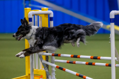 2023-June-AADTC-Trial-392