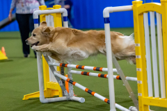 2023-June-AADTC-Trial-396