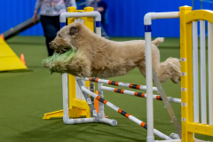 2023-June-AADTC-Trial-397