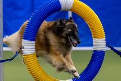 2023-June-AADTC-Trial-399