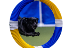 2023-June-AADTC-Trial-405