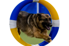 2023-June-AADTC-Trial-409