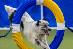 2023-June-AADTC-Trial-411