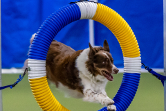 2023-June-AADTC-Trial-413