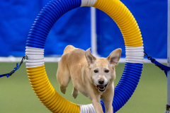 2023-June-AADTC-Trial-415