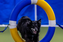 2023-June-AADTC-Trial-419