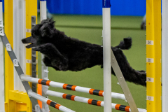 2023-June-AADTC-Trial-421