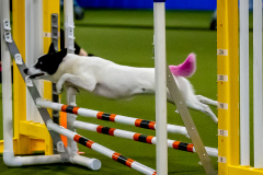 2023-June-AADTC-Trial-423