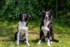 2023-June-AADTC-Trial-429