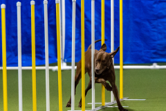 2023-June-AADTC-Trial-468