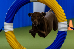 2023-June-AADTC-Trial-471