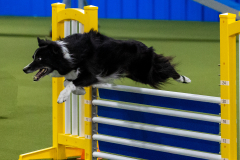 2023-June-AADTC-Trial-474