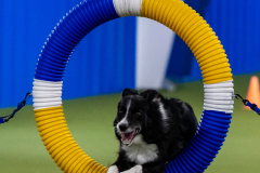 2023-June-AADTC-Trial-475