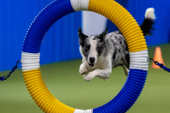 2023-June-AADTC-Trial-478