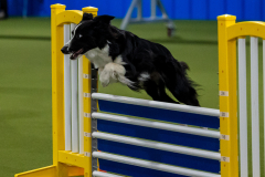 2023-June-AADTC-Trial-479