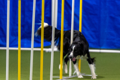 2023-June-AADTC-Trial-480