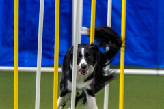 2023-June-AADTC-Trial-481